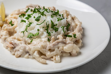 Squid in sour cream sauce. Greek national dish