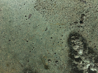 Abstract grunge background with Old green wall concrete floor texture