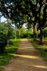 alley in the park