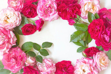 frame wreath pattern with roses, pink flower buds, branches and leaves on white background. flat lay, top view