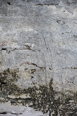 Close up of a shot of texture or background of a brick wall or adobe wall with some green and dried algae on it.