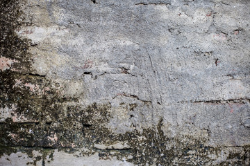 Close up of a shot of texture or background of a brick wall or adobe wall with some green and dried...
