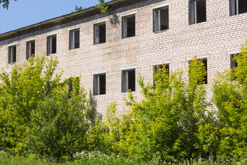 abandoned building with no glass on the Windows overgrown with trees