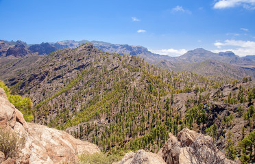 Gran Canaria, June