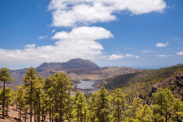 Gran Canaria, June