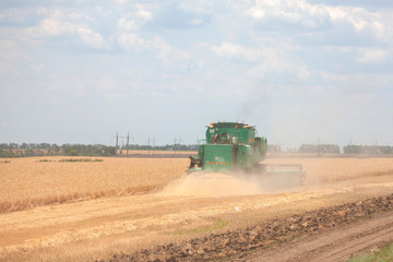 Obraz premium Harvester in a field harvesting wheat. Landscape.