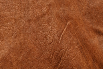 Brown Textured Leather Closeup. Full frame, close up