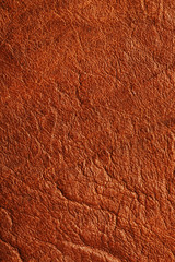 Brown Textured Leather Closeup. Full frame, close up