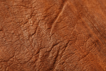 Brown Textured Leather Closeup. Full frame, close up