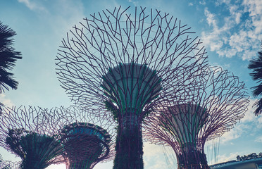 Gardens by the Bay  with Supertree in Singapore
