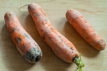 Fresh carrots on a wooden surface. Harvested carrots ready for cooking