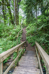 Obraz premium Steps And Platform 7