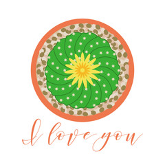 Blooming cactus. Love message. Valentine's Day.