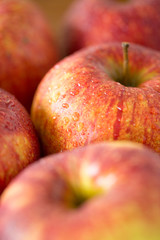 fruits, food and harvest concept - close up of ripe red apples