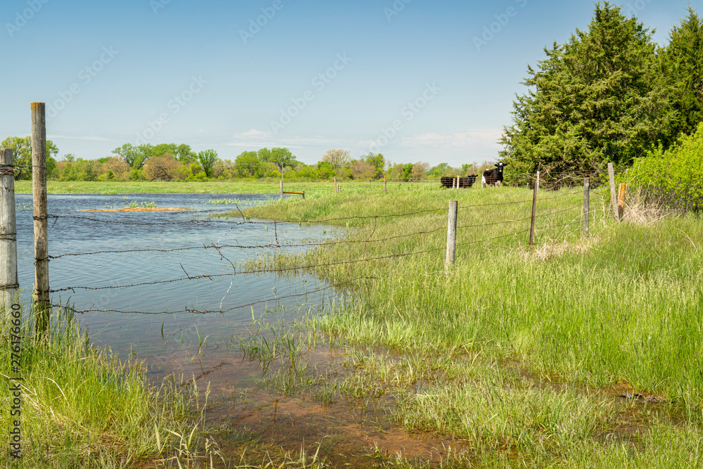 Wall mural flooded fields in nebraska