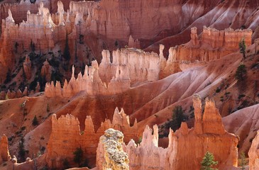 Bryce Canyon Utha USA