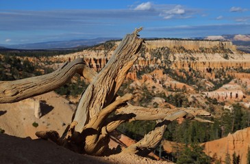 Bryce Canyon Utha USA
