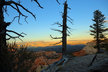 Bryce Canyon Utha USA