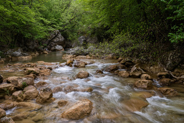 Mountain river flowing through the green forest