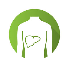 Healthy liver flat design long shadow glyph icon. Human organ in good health. People wellness. Functioning digestive gland. Wholesome gastrointestinal tract. Vector silhouette illustration