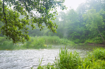 Shallow clean river in summer. Shallow roaring river.