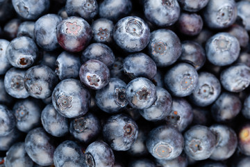 Fresh blueberry background. Texture blueberry berries close up.