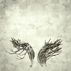  old paper background
