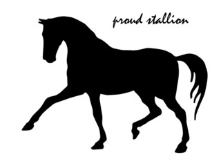 vector - isolated image of a black horse silhouette on a white background and the inscription 
