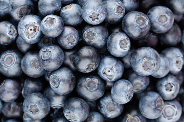 Fresh blueberry background. Texture blueberry berries close up.