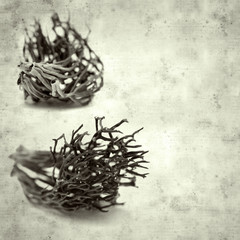 Fototapeta premium old paper background