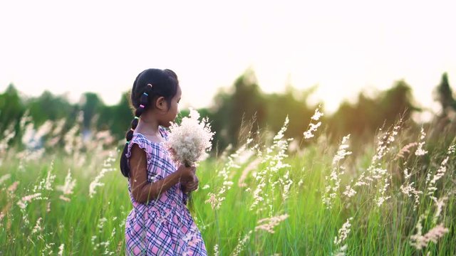 Asian girl picking flowers in a meadow happily.