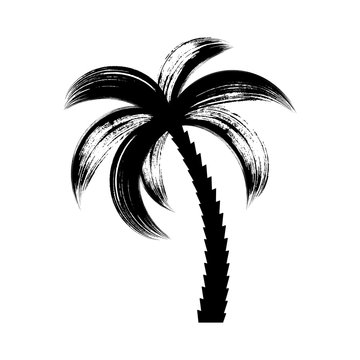 Black vector palm tree icon brush stroke design