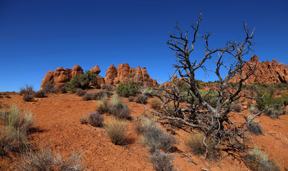 Arches National Park Utha USA