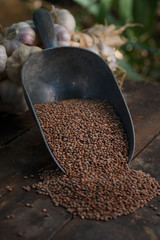 lentils on the wooden table