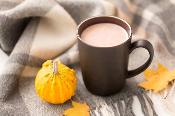 drinks and season concept - cup of hot chocolate, autumn leaves, pumpkin and warm blanket on white...