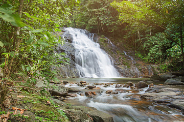 Ton Chong Fa,in the forest tropical zone ,national park Takua pa Phang Nga Thailand