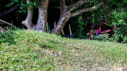 Strandtag am Malawisee