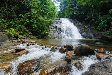 Fototapeta premium Ton Chong Fa,in the forest tropical zone ,national park Takua pa Phang Nga Thailand
