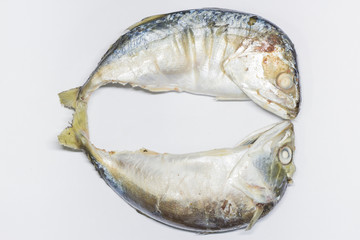 Fresh mackerel isolated on white background.Fresh mackerel fish isolated.Mackerel fish...