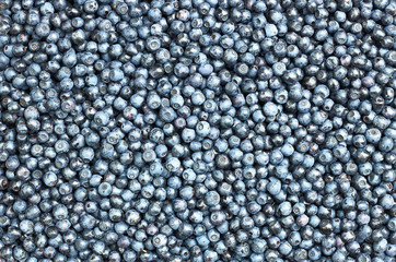 Blueberry pattern background texture, a backdrop for your design, flat lay, overhead top view