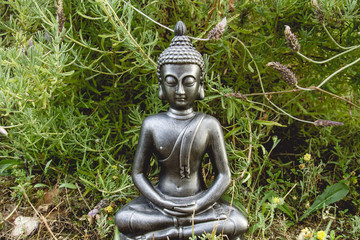 Gautama Buddha meditating in the garden