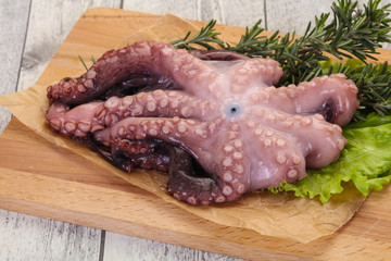 Raw octopus ready for cooking