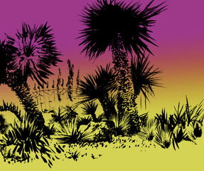 Fototapeta na wymiar sketching palm trees at sunset