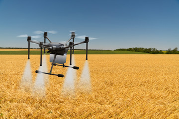 Fototapeta na wymiar Modern smart farm with drone-sprayer. Digital transformation in agriculture and smart farming