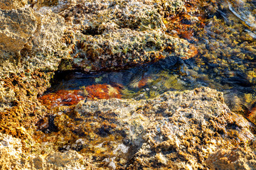 Rocky sea shore, clear water. Close-up. Background. Space for text.