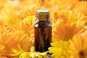A bottle of essential oil with calendula flowers