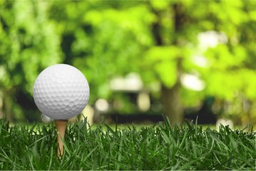 golf ball with a golf tee on a grass