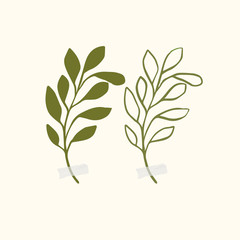 Fototapeta premium Vector botanic illustrations. Botanical clipart. Set of Green branches. Floral Herb Design elements. 