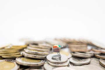 Business, E-Commerce and online payment concept. Close up of miniature shopping cart /trolley figure on stack of coins and copy space.