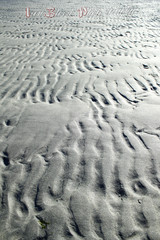 nature, architecture, floral, culture, automotive, 